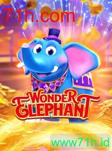 WonderElephant